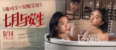 女同国产,揭秘全球女性同性恋文化的独特魅力  第3张