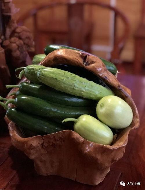 定西网红吃瓜,揭秘当地美食背后的故事  第2张