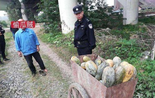 平乡网红吃瓜事件,揭秘网络舆论的风云变幻 第3张 平乡网红吃瓜事件,揭秘网络舆论的风云变幻 第3张