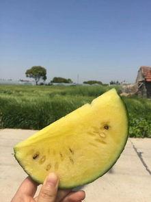 10月网红吃瓜事件,盘点那些引发热议的幕后故事 第2张 10月网红吃瓜事件,盘点那些引发热议的幕后故事 第2张