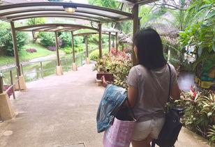 缘分娱乐吃瓜,吃瓜群众揭秘娱乐圈幕后真相  第3张