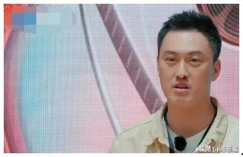 娱乐圈吃瓜爆料陈晓是谁,娱乐圈吃瓜爆料中的焦点人物  第3张