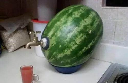 吃瓜表情幽默回复,揭秘那些让人捧腹大笑的吃瓜表情