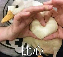 娱乐吃瓜酱鸭鸭视频  第2张