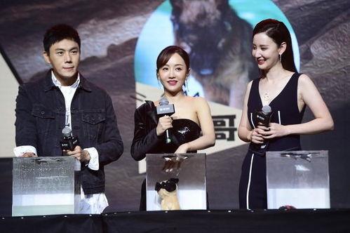 娱乐圈吃瓜爆料合集网盘,网盘收录吃瓜爆料合集大揭秘  第3张